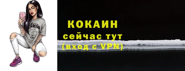 spice Аркадак