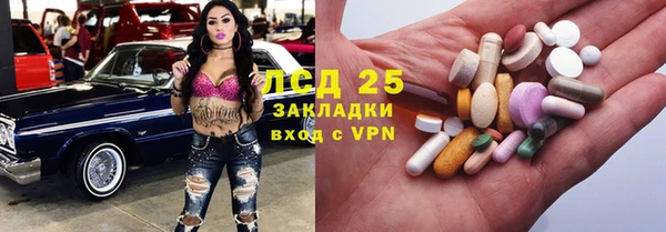 spice Аркадак